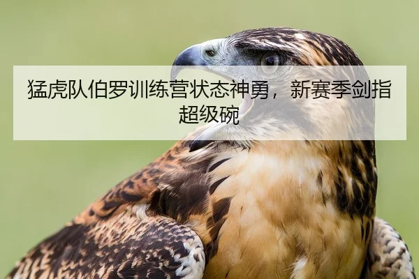 猛虎队伯罗训练营状态神勇，新赛季剑指超级碗