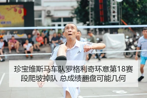 珍宝维斯马车队罗格利奇环意第18赛段爬坡掉队 总成绩翻盘可能几何